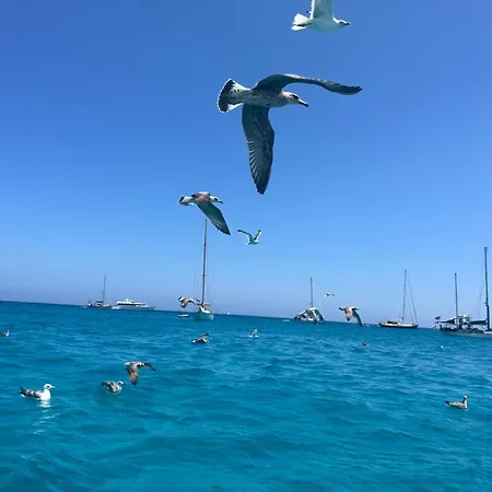 Biancaneve By Aurea Cav * コスタ・レイ